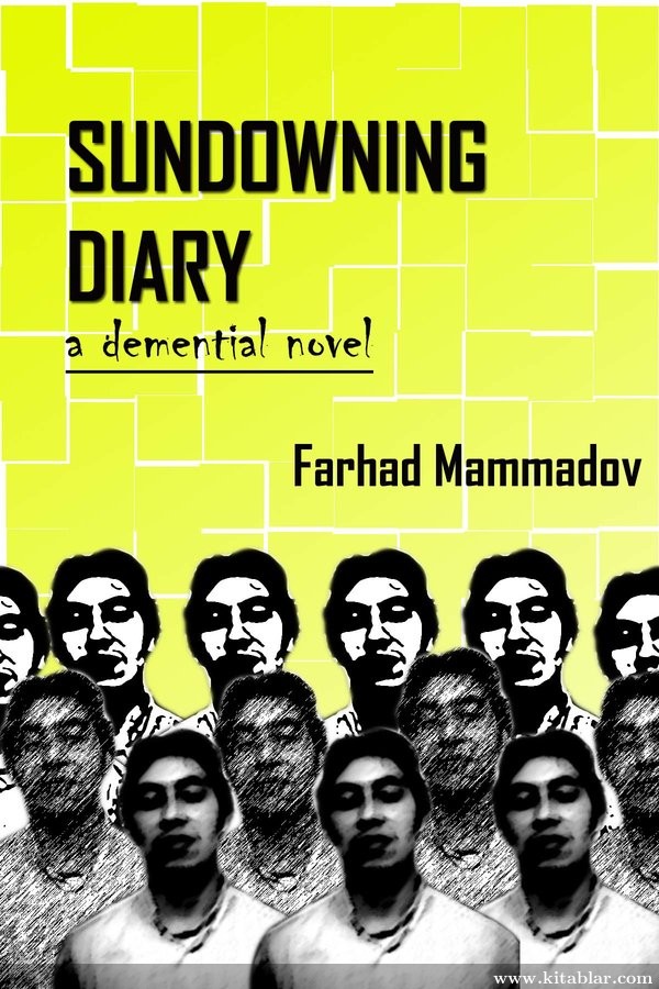 Sundowning Diary - part 2