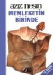 Memleketin birinde